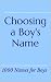 Choosing a Boy's Name by Sarah Russell