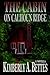 The Cabin on Calhoun Ridge by Kimberly A. Bettes