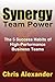 Synergy Team Power: The 5 Success Habits of High-Performance Business Teams