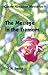 The Message in the Transom (Cassie Kingston Mysteries)