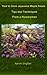 How to Grow Japanese Maple ...
