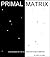 Primal Matrix A guidebook of the Universe for dumb Scientists