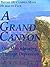 A Grand Canyon: One Man's Journey Through Depression