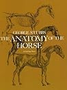 The Anatomy of th...