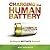 Charging The Human Battery: 50 Ways to Motivate Yourself