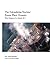 The Fukushima Nuclear Power Plant Disaster: What Happened in March 2011