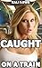 Caught On A Train (public sex)