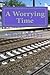 A Worrying Time (DCI Victor Moyes Book 16)