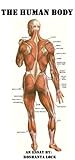 The Human Body: A Scholarly Essay on the 11 major organ systems.