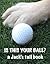 Is This Your Ball? by Ray Braswell