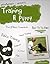 Training A Puppy