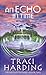 An Echo in Time (Ancient Future Trilogy)