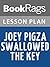 Lesson Plans Joey Pigza Swallowed the Key