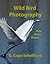 Wild Bird Photography: How, When, Where