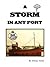 A Storm in any Port