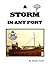 A Storm in any Port by Johnny  Jones