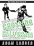 Crossing California by Adam Langer