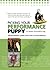 Picking your Performance Puppy