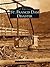 St. Francis Dam Disaster (Images of America: California)