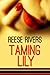 Taming Lily (Discovering Lily, #3)