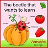 Dictionaries for Kids: Vegetables Names (meaning of words - early reader edition Book 2)