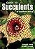 Guide to Succulents of Southern Africa