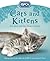 All About Cats and Kittens (RSPCA)