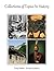 Collections of Topics In History