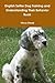 English Setter Dog Training...