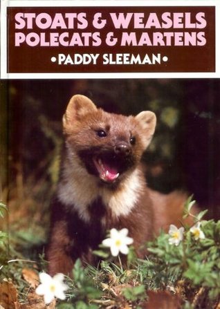 Stoats & Weasels Polecats & Martens (Hardcover)