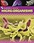 Micro-organisms