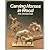 Carving Horses in Wood