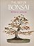 The Art of Bonsai