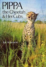 Pippa the Cheetah & Her Cubs
