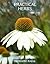 Practical Herbs by Henriette Kress