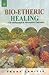 Bio-etheric Healing: A Breakthrough in Alternative Therapies