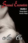 Sensual Encounters: Volume 3 (Three Short Erotic Tales)