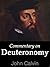 Commentary on Deuteronomy