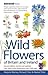 Wild Flowers of Britain & Ireland by Richard Fitter