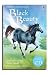 Black Beauty by Mary Sebag-Montefiore