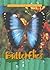 Butterflies (Animals of the Rainforest)