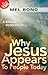 Why Jesus Appears to People...