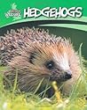 Hedgehogs (British Wildlife)