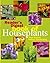 Reader's Digest' Book of Houseplants