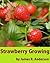 Strawberry Growing