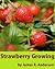 Strawberry Growing