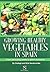 Growing Healthy Vegetables in Spain