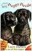Puppy Puzzle (Animal Ark Pets, #1)