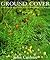 Ground Cover: A Thousand Be...