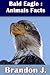 Bald Eagle : Animals Facts